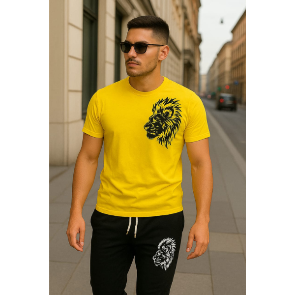 Men Printed Track Suit